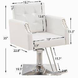 BarberPub Classic Salon Chair for Hair Stylist Hydraulic Barber Style Chair 8818