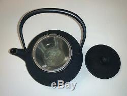 Brand New Teavana Hobnail Cast Iron Tea Pot, Black, 30 OZ Made in Japan (1030)