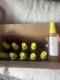 Briogeo Bundle Of 10