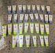 Bulk Reseller Lot Of Bolero Shampoo/conditioner Oil/coconut Milk/green Tea Hair