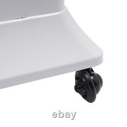 Multifunctional Nano Hair Steamer Hair Oil Treatment Machine Hair Dyeing Machine