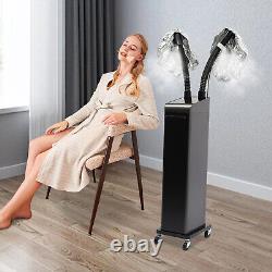 Professional Micro Mist Hair Processor Hair Care Nano Hair Steamer Machine 700W