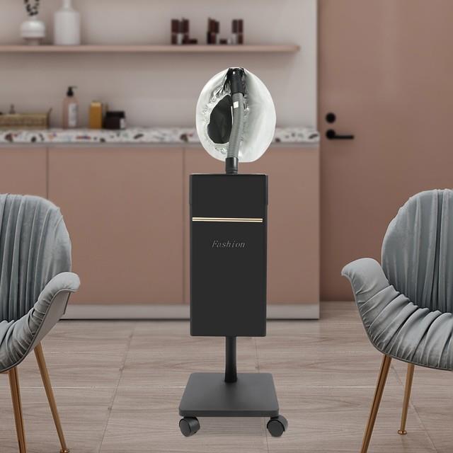 Professional Standing Hair Steamer, Multi-function Hair Care Equipment, Nano Hai