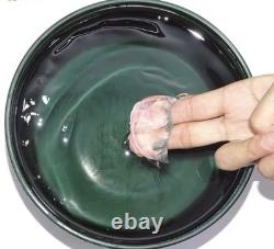 Pure O Neatbraid Conditioning Gel (Pack Of 3)