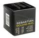 Sebastian Molding Mud Remoldable Fiber Sculptor 75g/2.6oz / New