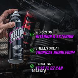 Shine & Protectant High Gloss Coating Spray (12-Pack)