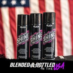 Shine & Protectant High Gloss Coating Spray (12-Pack)